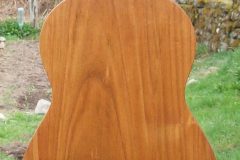 Ukulele-fond-edited-1